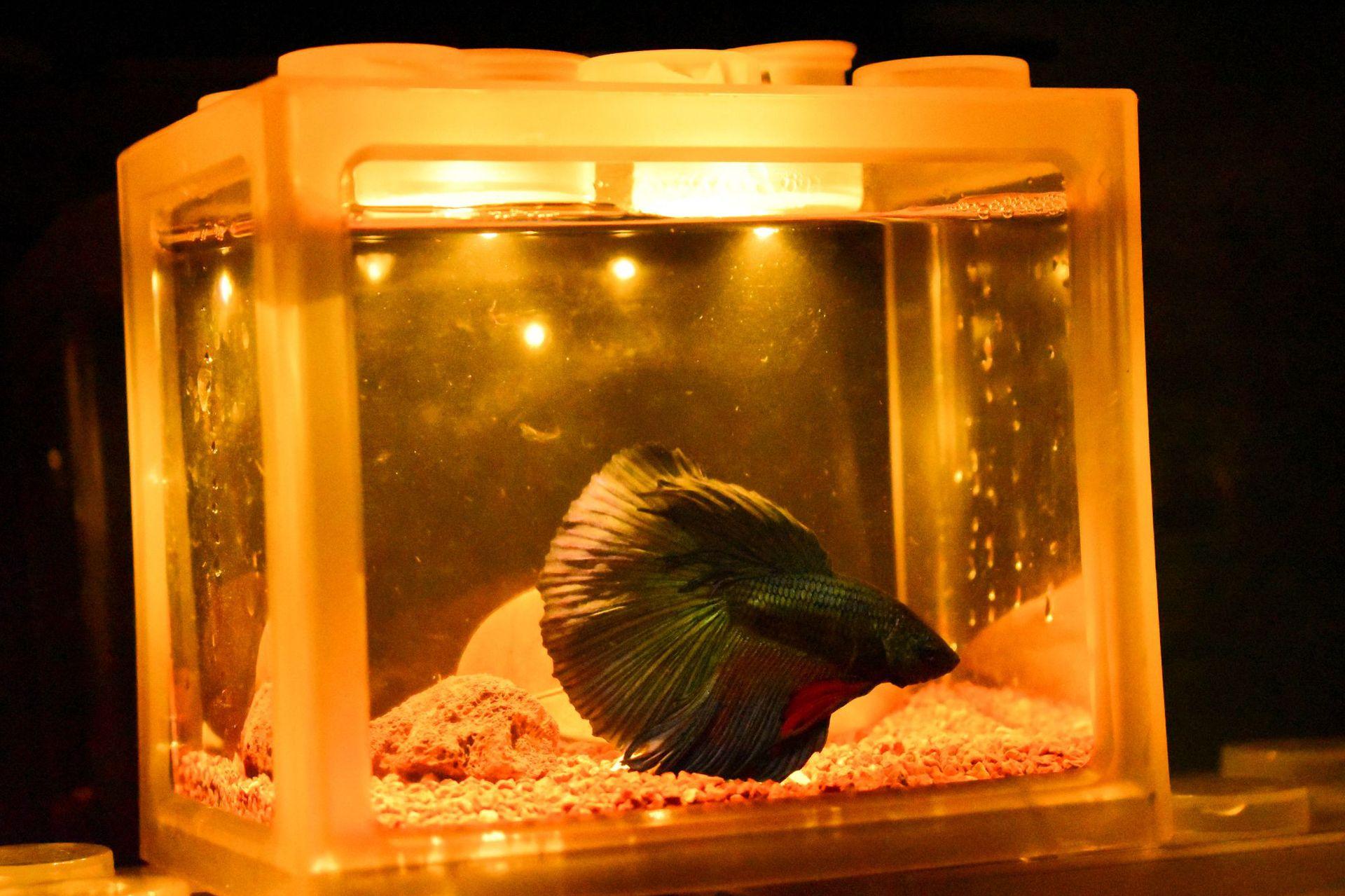 微信图片_20220906111237