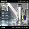 Bomba sumergible de acero inoxidable 304 para uso doméstico, resistente a la corrosión, alto levantamiento, alto flujo, doble propósito para limpieza y drenaje (De la gente)
