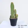 Cactus Pilares de Dragón Simulados Cactus Parásito Planta del Desierto Marroquí Decoración Suave para Paisajismo Modelo Decoración de Proyectos