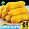 Plátanos Crujientes Sanquan 300g*5 Paquetes Productos Semi-Terminados Congelados para Catering Hotelero, Snacks Fritos Comerciales, Postres, Plátanos Fritos