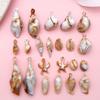 Concha Acrílica Pieza Gruesa de Vieira 1 Caracola Pegatina de Pared Decoración DIY de Micro Paisaje Acuario Accesorios para Campana de Tifón