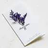 Cartão de felicitações feito à mão DIY com flores secas, criativo, gipsofila, flor estrela, arte, cartão de aniversário, Dia de Ano Novo, Natal, atacado