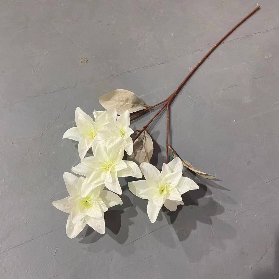 微信图片_20230821103041