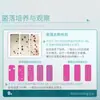 Tabletas de Prueba Biológica de Bacterias Beekman Recuento Total de Colonias Levadura Moho Papel de Detección Microbiana de Doble Cara para Uso en Laboratorio