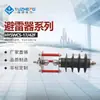 Yuzheng HY5CX-17/42F pararrayos de hueco exterior de línea 10KV Bola de descarga externa pararrayos de óxido de zinc de alto voltaje