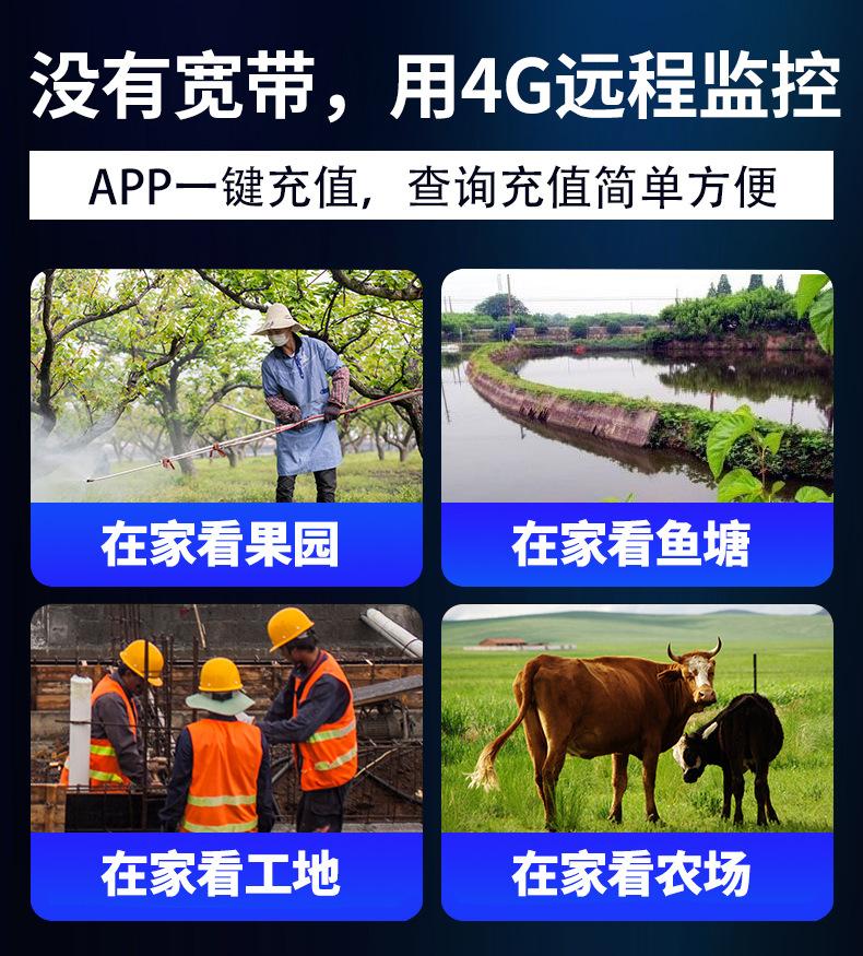 详情页