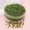 Cuentas de vidrio para semillas de mijo pintadas en plata, 3 mm, retro, para hacer tú mismo, cuentas sueltas para collares, accesorios de joyería, materiales