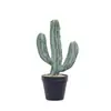 Estilo Escandinavo Cactus Simulad o Cactus Pilar de Dragón Maceta Decoración para el Hogar Interior Adornos Planta Biónica Paisajismo
