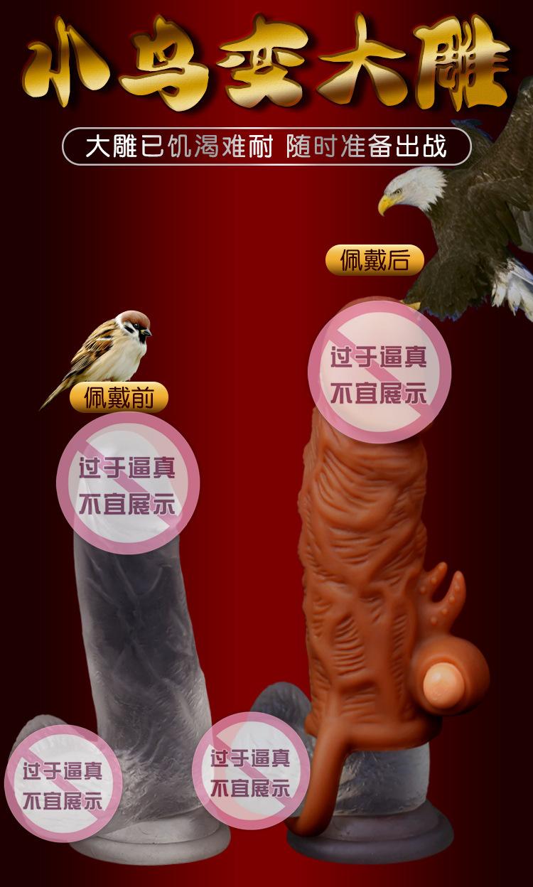 龙珠套_05