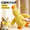 Juguete para gatos transfronterizo, pájaro simulado, duradero y resistente a la masticación, autoentretenido, palo teaser para gatos que alivia el aburrimiento, juguete de peluche, juguete para gatos, suministros para mascotas