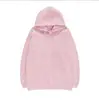 Moletom feminino com capuz e mangas compridas, cor sólida, casual, doce, confortável, versátil, estilo coreano e japonês, quente
