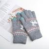 Luvas de veludo com tela sensível ao toque de outono e inverno Fawn Luvas fofas de estilo coreano para estudantes para ciclismo e direção Forrado com lã para proteger contra o frio