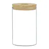 Vaso de flores pequeno de vidro transparente para plantas verdes de interior, ornamentos, garrafa de vidro para plantas hidropônicas, garrafa de vidro para paisagem de musgo, garrafa de vidro atacado