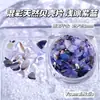 Novo Material de Decoração para Nail Art em Concha Natural Colorida Irregular Estilo Japonês Acessórios de Unha Transparentes Vestíveis