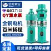 Bomba sumergible trifásica sumergida en aceite alto flujo alta presión riego agrícola bomba de agua alta presión bombeo de agua pozo profundo bomba de agua alta Yangcheng