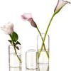 Fornecedores Fabricantes Criativos Vasos de Vitral para Paisagens, Vasos de Vidro Multicores, Diversas Especificações e Suporte para Flores Secas Personalizadas