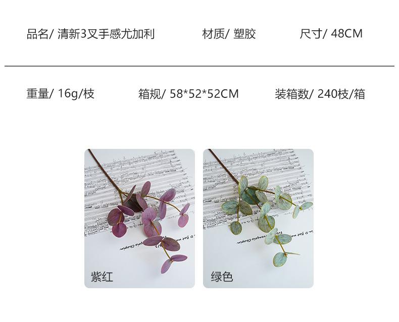 清新3叉手感尤加利_06.jpg
