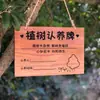 Estaca de Madera Maciza para Huerto Señal de Poste Zona de Plantación Escolar de Verduras Día del Árbol Placa Colgante de Adopción Impermeable Exterior Personalizable