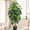Planta de Simulación Madera Pie de Pato de Pie en Maceta Planta Verde Biónica Adornos Sala de Estar Lado del Sofá Decoración del Hogar Bonsái Árbol Falso