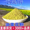 Pólen de Colza de Yunnan, Pólen de Chá, Pólen de Abelha, Atacado e Distribuição de Pólen de Colza