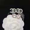 Pendientes de alta calidad para todo tipo de atuendos, pendientes de moda para hombres y mujeres, letras de pedrería, todo a juego, pasador de plata s925, accesorios de aleación