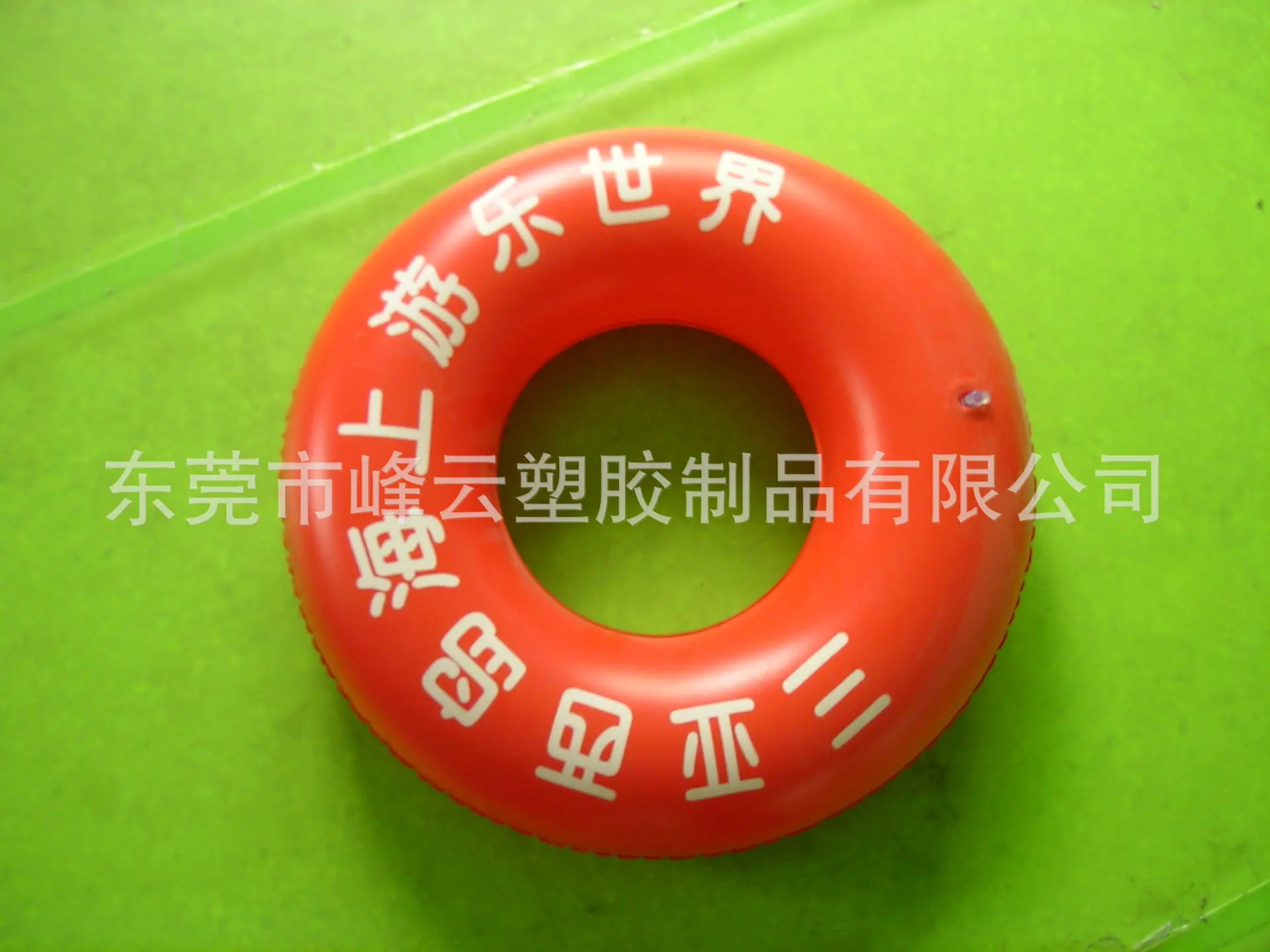 SANY3059