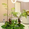 Paisagismo com Planta Verde Artificial Samambaia Cabeça de Macaco de Seda Dourada, Planta Simulada Estilo Chinês para Decoração de Paisagem Interna, Planta Artificial em Vaso