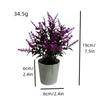 Plantas verdes de simulación superventas transfronterizas, flores creativas en maceta multicolor, muebles para el hogar, decoración de flores de simulación, mini bonsái de generación