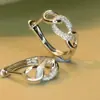 Brincos Cao Shi Shein de Luxo Acessível para o Dia a Dia com Micro-Enfeites para Mulheres, Acessórios com Fivela de Argola Metálica de Design Nichado, Brincos Diários