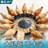 Comedouro Espessado Automático, Novo Modelo para Frangos de Criação Solta, Comedouro para Frango, Pato e Ganso, Comedouro para Frangos, Bebedouro