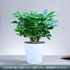Árbol de Prosperidad Perenne, Madera de Pata de Pato, Planta Verde de Escritorio para Balcón Interior, Planta con Maceta de Flores, Árbol del Dinero