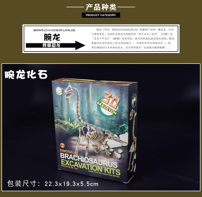 挖掘恐龙详情图10