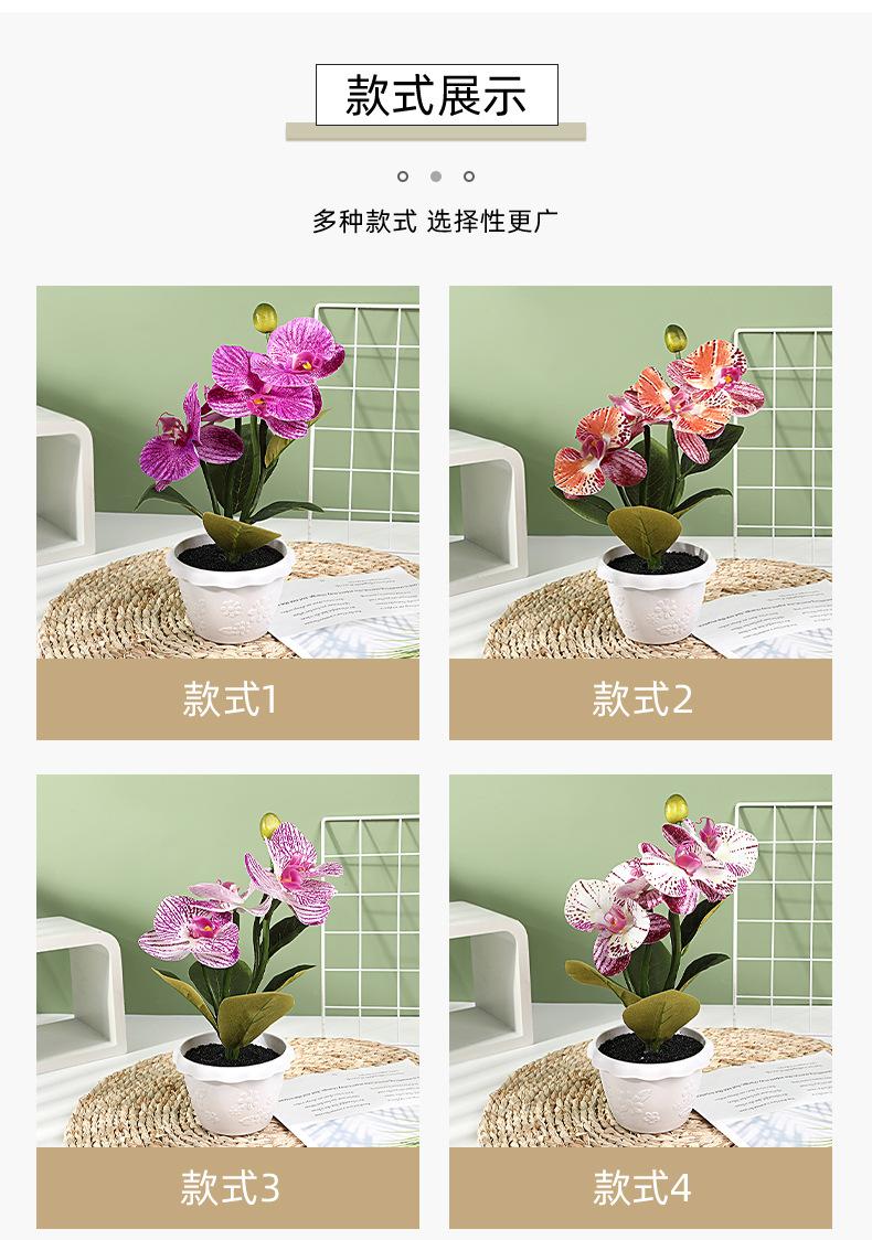 保侬详情_05.jpg