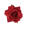 Flor de Rosa de Material de Terciopelo con Tacto Similar al Terciopelo, Cabeza de Rosa de 10 cm de Diámetro, Flor de Rosa Individual