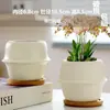 Macetas de Cerámica con Platos para Uso Doméstico al por Mayor, Macetas para Suculentas de Estilo Ins Simple Lujo Ligero Estilo Crema, Disponible para Dropshipping
