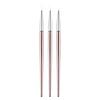 Lápiz de uñas con línea de tracción, pincel de terapia de luz con forma de flor, bolígrafo de línea de tracción con tres cargas, pincel de uñas con varilla de oro rosa, 3 trajes