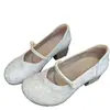 Sapatos Versáteis para Mães Sapatilhas Femininas Outono 2025 Novo Salto Grosso 4cm Salto Médio Bordados para Meia-Idade e Idosos Superfície Macia Bico Baixo