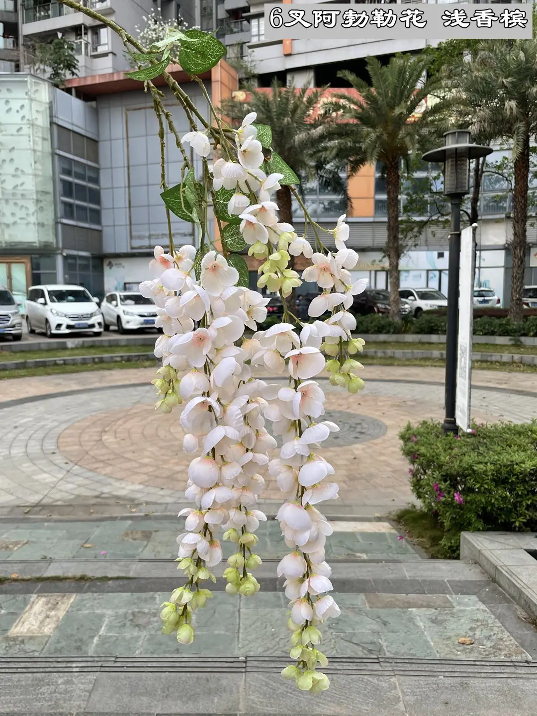 微信图片_20210312173755.jpg
