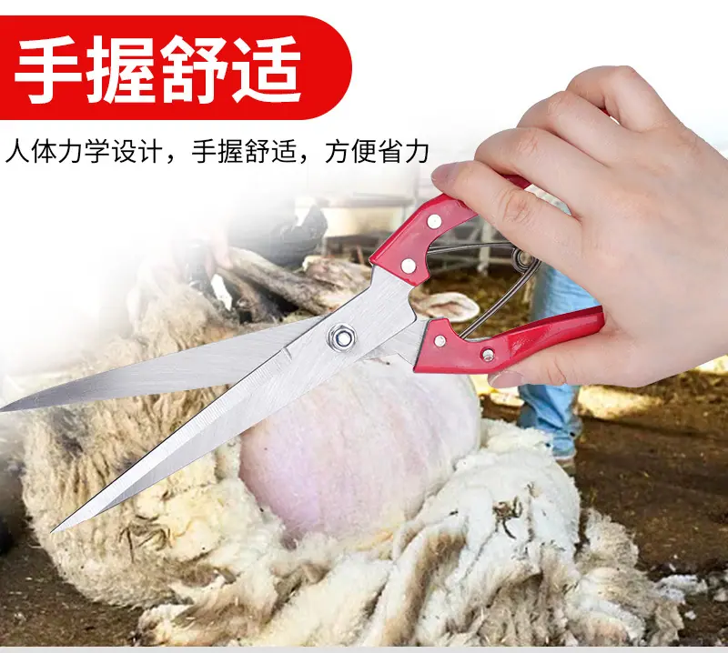 详情4_04