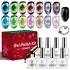 Set de 9 piezas de esmalte en gel ojo de gato vidrioso, esmalte de uñas negro, set de herramientas para nail art, nail art magnético, caja de regalo de Navidad, gel UV transfronterizo