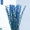 Flores Secas de Sauce Plateado Atractoras de Fortuna, Flores Reales, Ramas Frescas, Plantas Hidropónicas, Sauce Plateado Rojo, Flores de Año Nuevo, Cubo de Fortuna, Decoración Interior para Sala de Estar