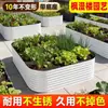 Caixa de Plantio de Metal para Gramados, Estrutura de Liga para Vegetais, Caixa de Flores, Vaso de Flores, Calha para Flores para Varanda Externa, Jardim de Flores, Plantio em Telhado