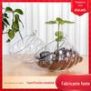 Fabricante Original Vaso de Flor de Plástico Formato de Concha Flor Artificial Bonsai Vaso Decorativo Suculenta Vaso Suspenso PS Transparente Novo Material