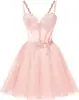 Estilo Nuevo 2026 Elegante Ceñidor de Cintura Sin Tirantes Malla Fiesta de Cumpleaños Dama de Honor Vestido de Noche para Mujeres, Suministro Transfronterizo