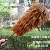 Plumero de plumas de gallo, para el hogar, para quitar el polvo del coche, telescópico, sin lana, con mango de madera, para el hogar, para quitar el polvo de plumas de pollo, venta directa de fábrica