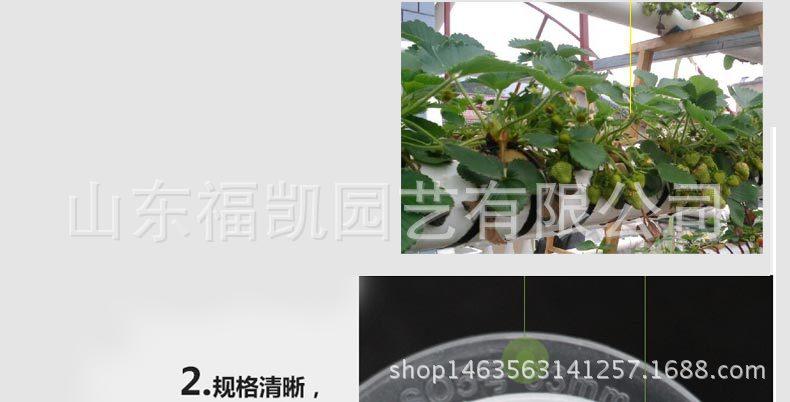 56#-100#定植篮详情页_07