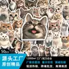 Suministro a granel de 50 pegatinas impermeables y resistentes a los arañazos de PVC con lindos diseños de animales y gatos de dibujos animados para journaling y papelería creativa, al por mayor