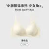 Lingerie Sem Costura para Mulheres com Seios Pequenos, Acabamento em Renda, Design Floral, Anti-Queda, Suporte Lateral nos Seios, Estilo Confortável e Doce, Sutiã para Meninas