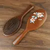 Peine de Aire con Dientes Ovalados Puntiagudos para Cabello, Cómodo Cojín de Aire, Peine de Masaje Casero Antiestático para Mujeres, Suavizante de Cabello Esponjoso