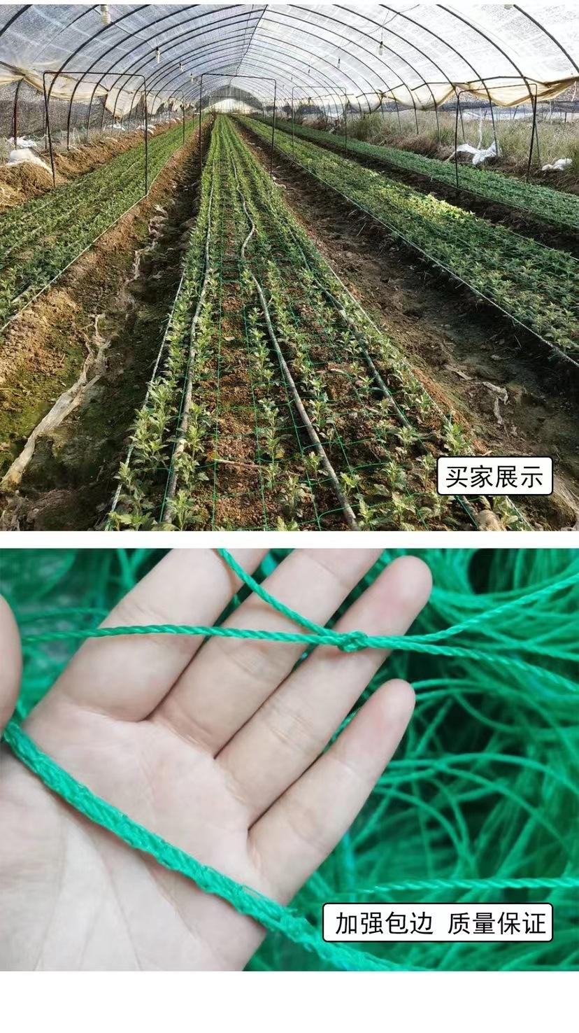 微信图片_20221102213331